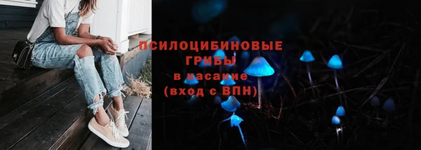 прущий лед Арсеньев