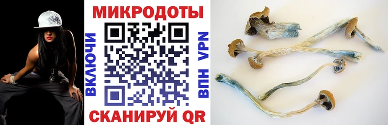 Псилоцибиновые грибы ЛСД  Ржев 